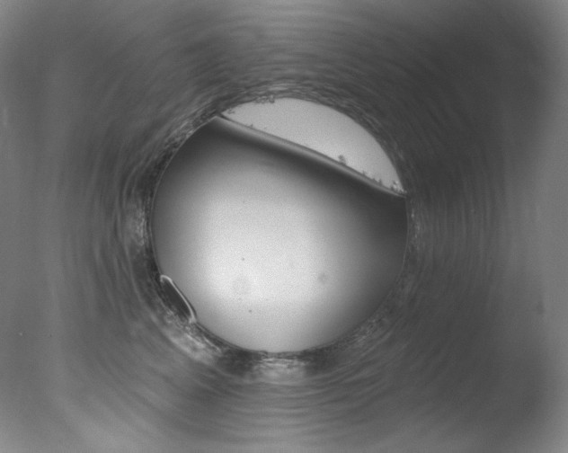 X0000078030617200610271044