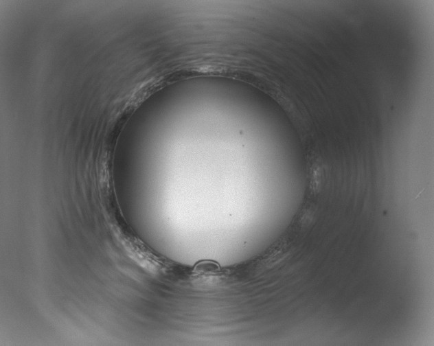 X0000078030620200610271044