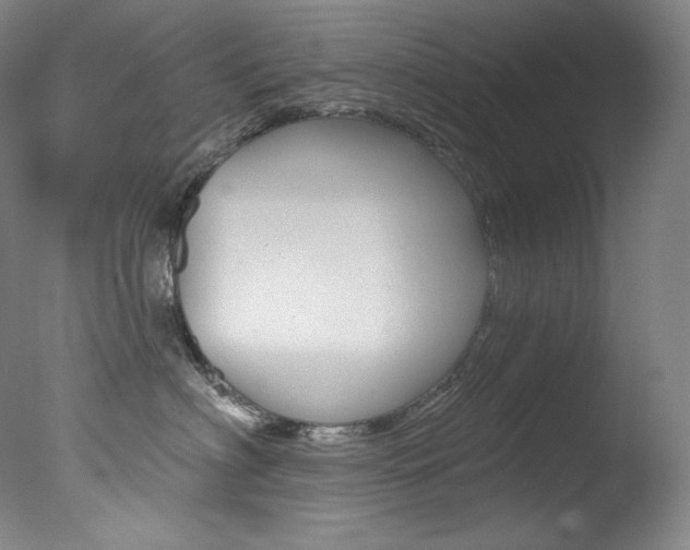 X0000078030622200610271044