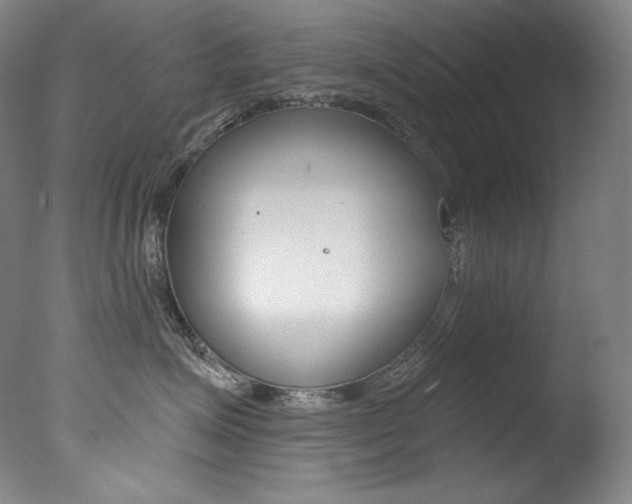 X0000078030623200610271044