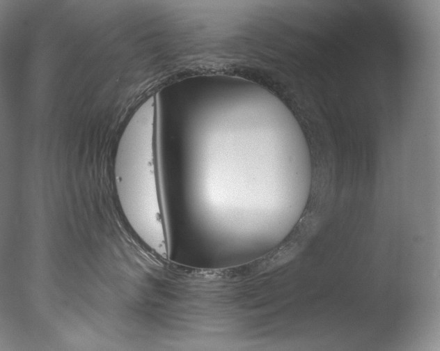 X0000078030624200610271044