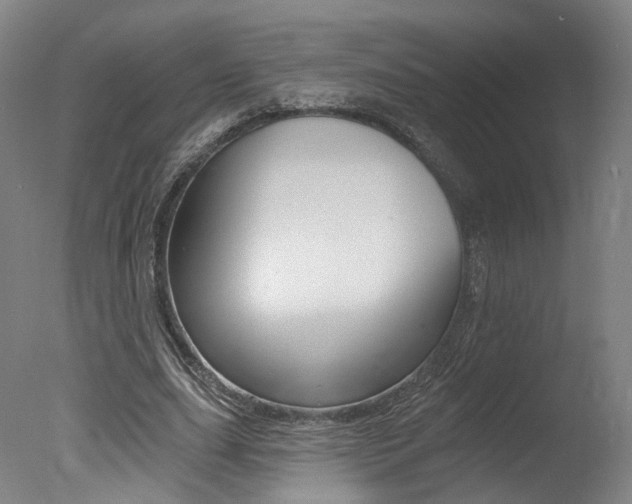 X0000078030631200610271043