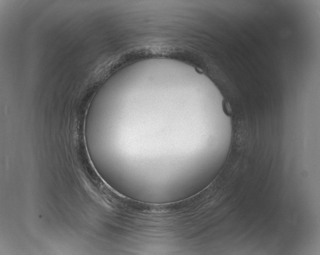 X0000078030639200610271043
