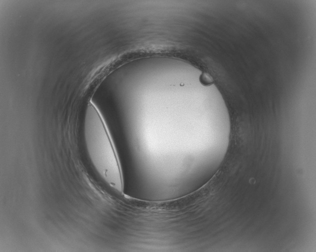 X0000078030640200610271043