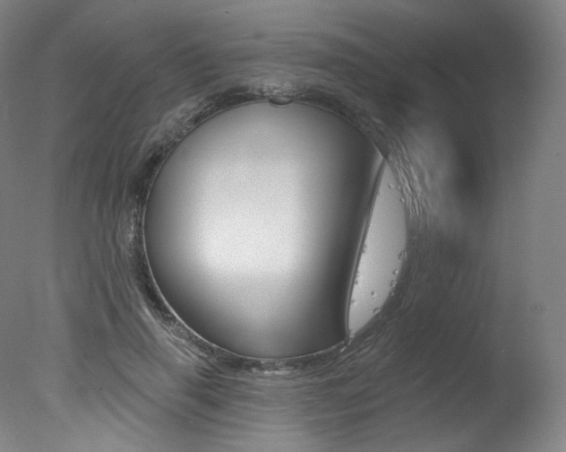 X0000078030645200610271043