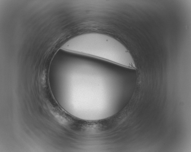 X0000078030646200610271043