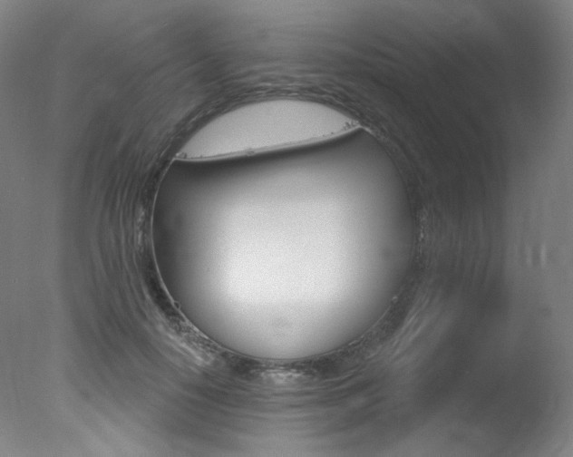 X0000078030650200610271043