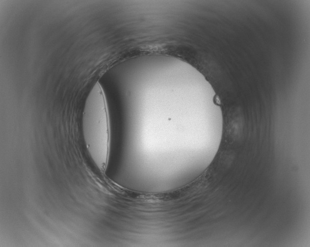 X0000078030658200610271043