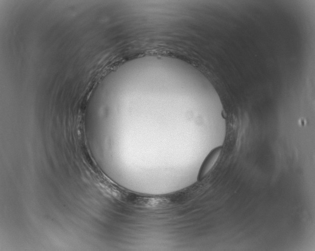 X0000078030663200610271043