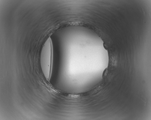 X0000078030665200610271043