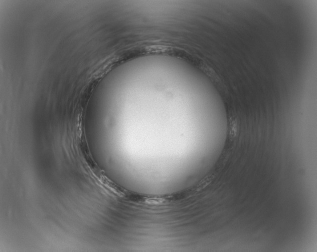 X0000078030666200610271043