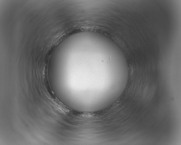X0000078030668200610271044