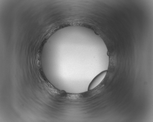 X0000078030671200610271044