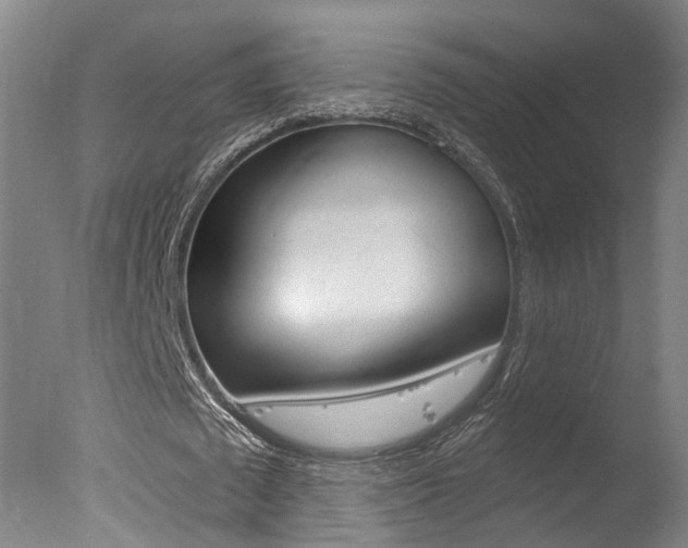 X0000078030673200610271043