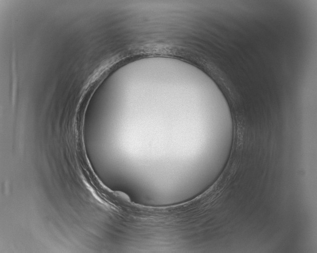X0000078030674200610271043