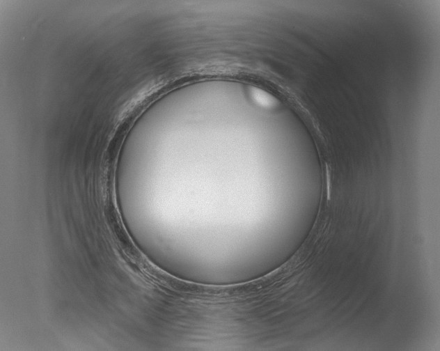 X0000078030675200610271043