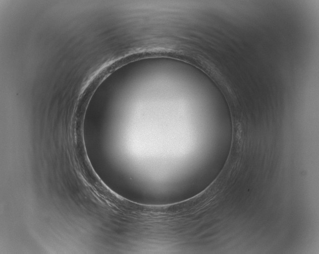 X0000078030676200610271043