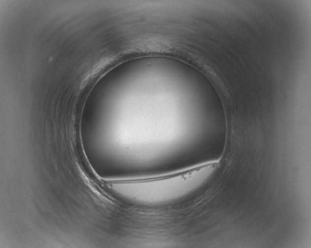 X0000078030677200610271043