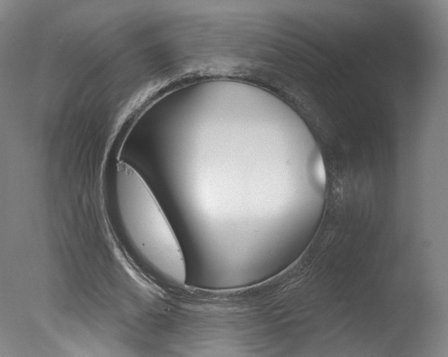 X0000078030678200610271043