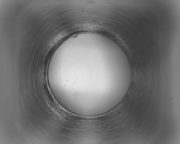 X0000078030679200610271043