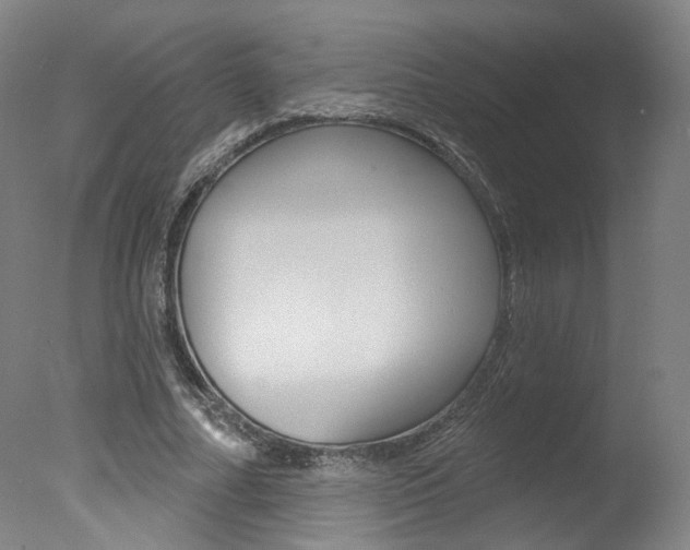 X0000078030682200610271043