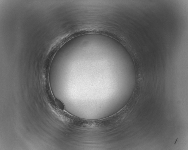 X0000078030688200610271042