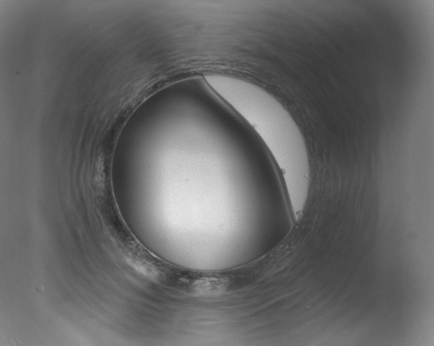 X0000078030700200610271042
