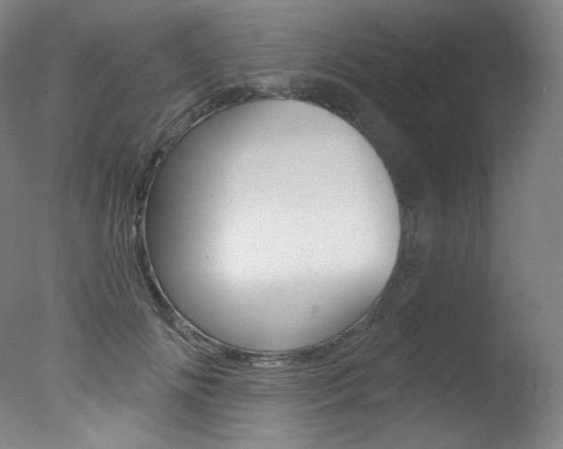 X0000078030702200610271042