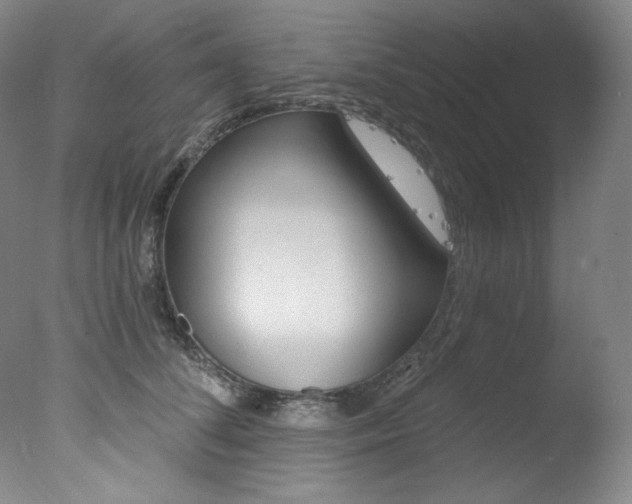 X0000078030708200610271042