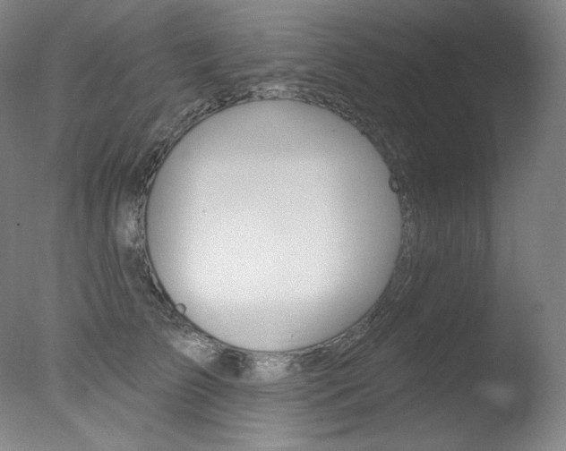 X0000078030709200610271042