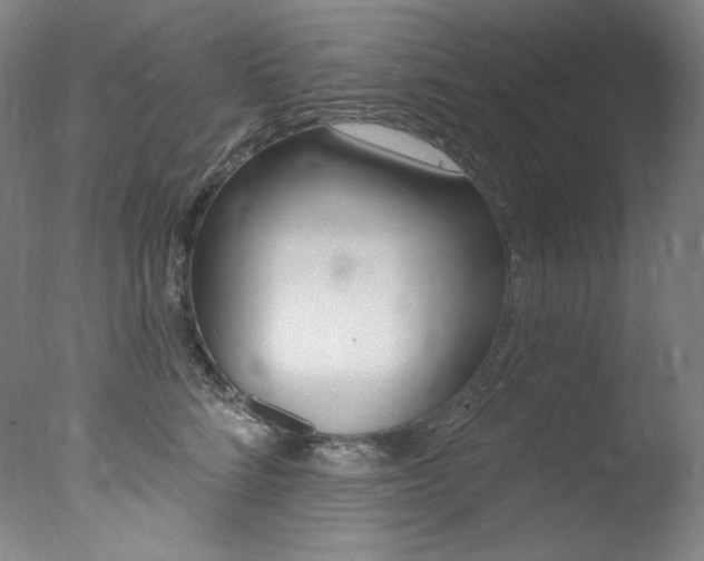X0000078030712200610271042