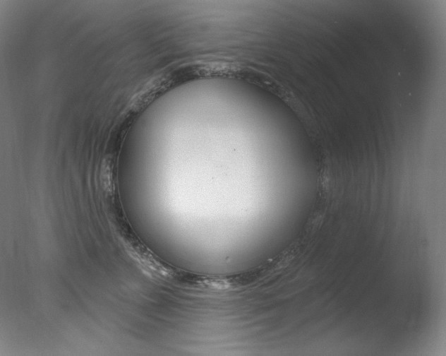 X0000078030715200610271042