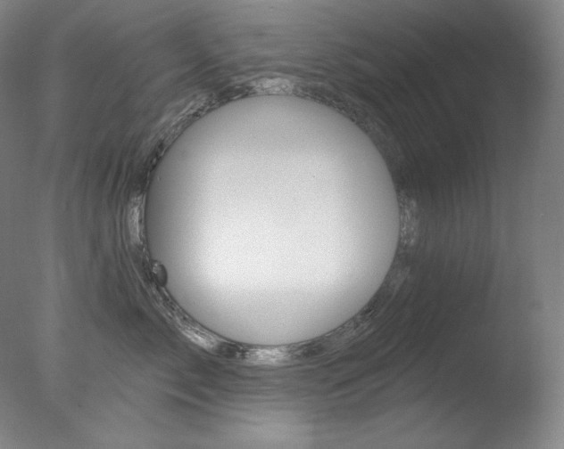 X0000078030717200610271042
