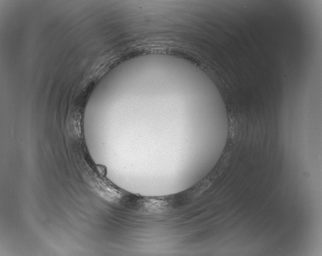 X0000078030718200610271042