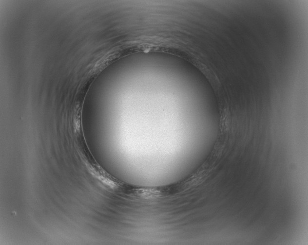 X0000078030719200610271042