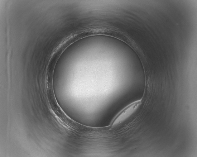 X0000078030722200610271041