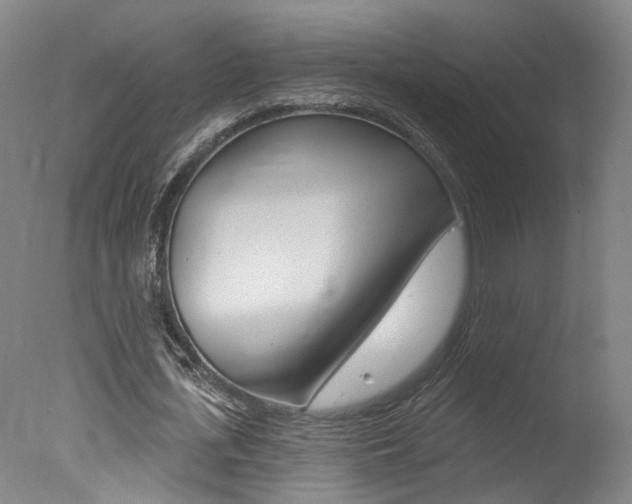 X0000078030723200610271041