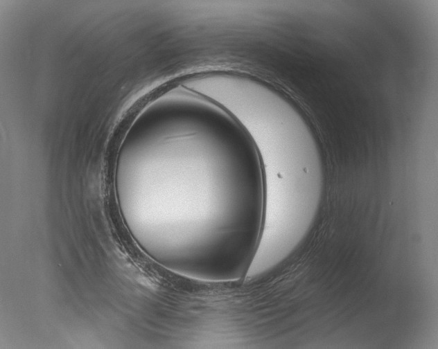 X0000078030724200610271041