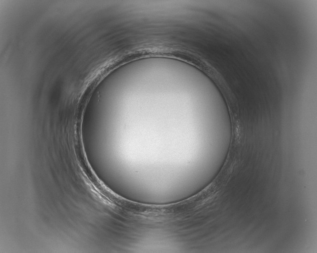 X0000078030725200610271041