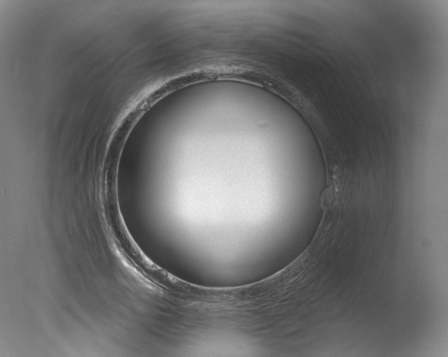 X0000078030726200610271041