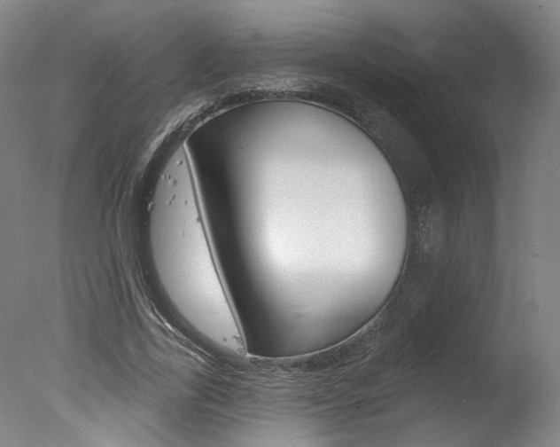 X0000078030731200610271041