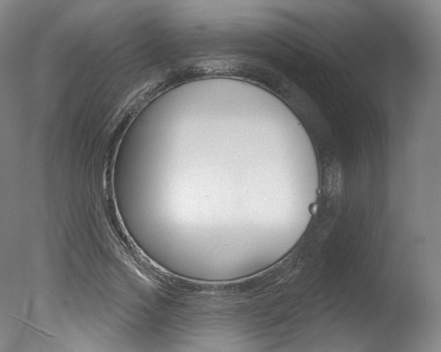 X0000078030733200610271041
