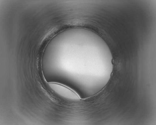 X0000078030735200610271041
