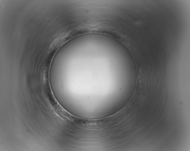 X0000078030740200610271041
