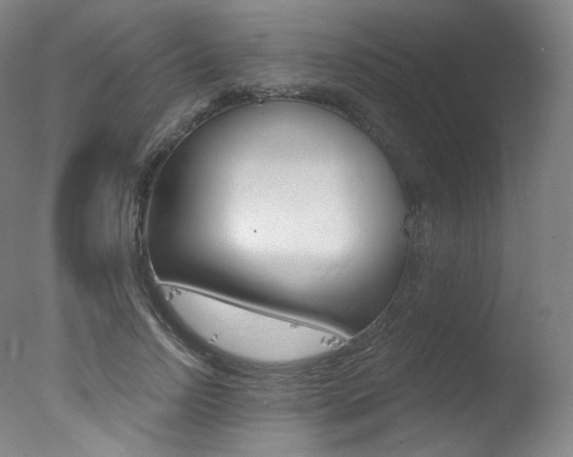 X0000078030742200610271042