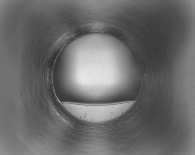 X0000078030744200610271042