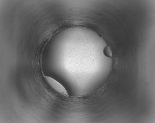 X0000078030746200610271042