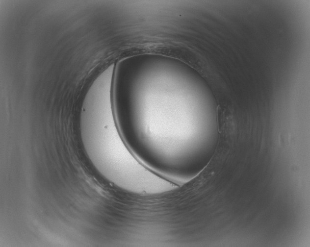 X0000078030750200610271042