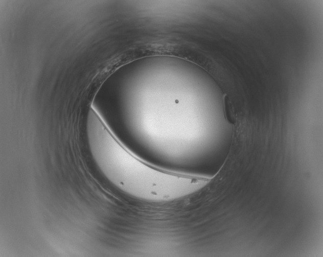 X0000078030752200610271042