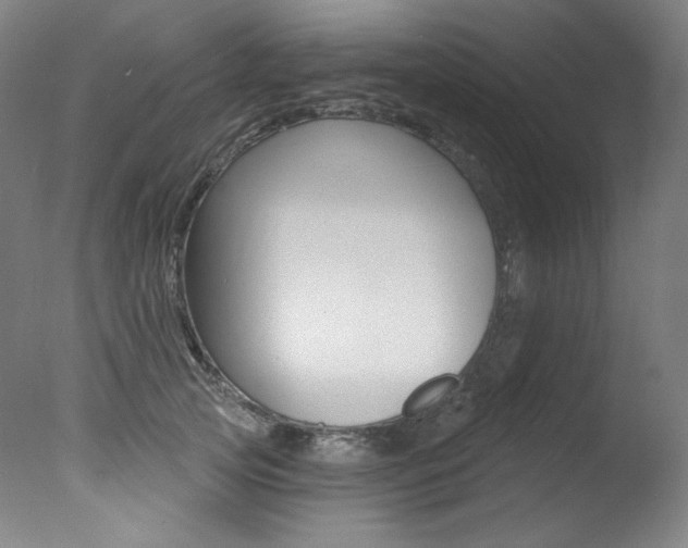 X0000078030753200610271042